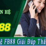 Cách liên hệ nhà cái FB88 nhanh chóng cho trường hợp cần thiết