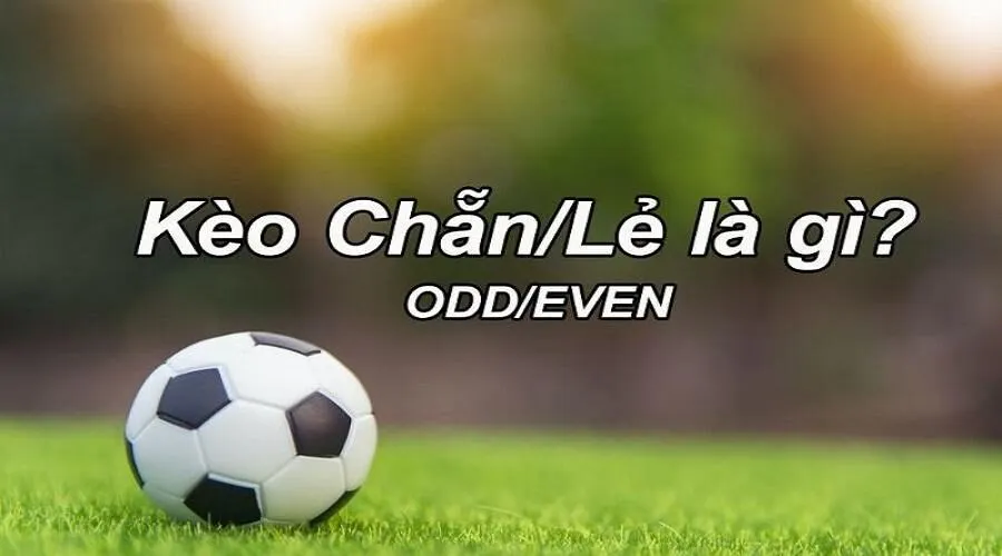 Kèo chẵn lẻ được yêu thích trong cá độ bóng đá